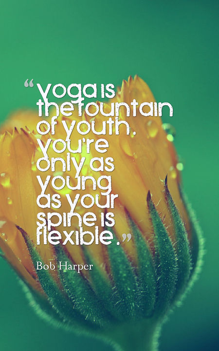 100 Inspirational Yoga Quotes: Quotes To Keep You Motivated And Excited To  Get On The Mat: Ebert, Isobel: 9798840267066: : Books