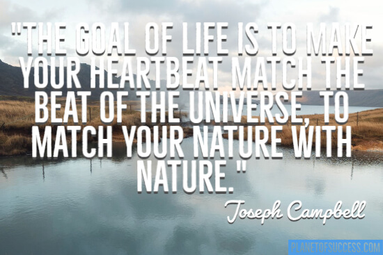 124 Breathtaking Nature Quotes [That Celebrate Earth]